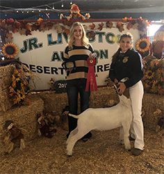 HJ Showstock Winners